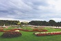 Flowers and Mulch